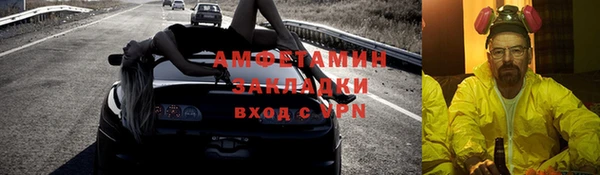 прущие грибы Абаза