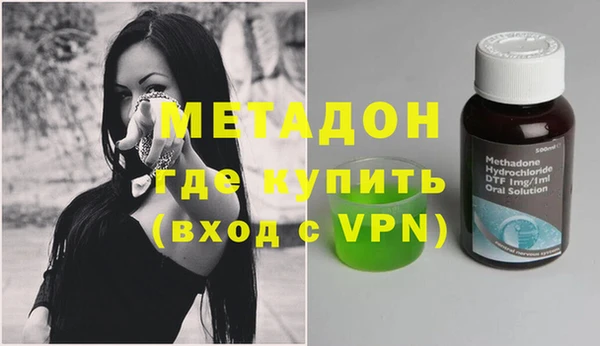 прущие грибы Абаза