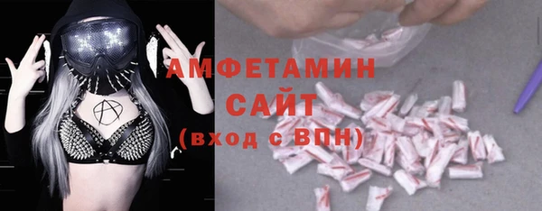 прущие грибы Абаза