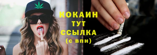 прущие грибы Абаза