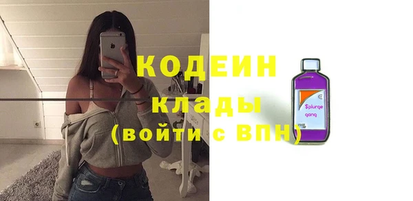 прущие грибы Абаза