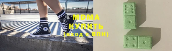 прущие грибы Абаза