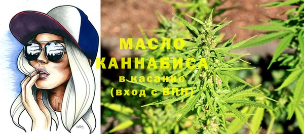 прущие грибы Абаза