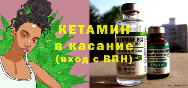 прущие грибы Абаза