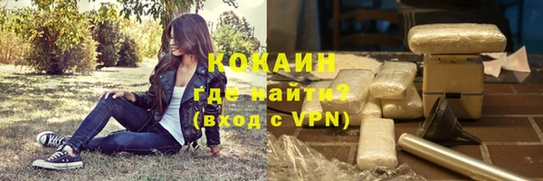 прущие грибы Абаза