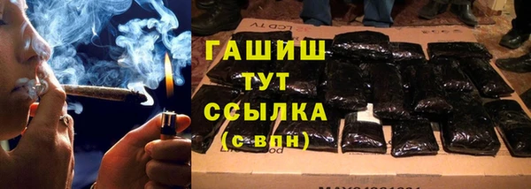 прущие грибы Абаза