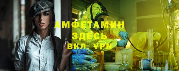 прущие грибы Абаза