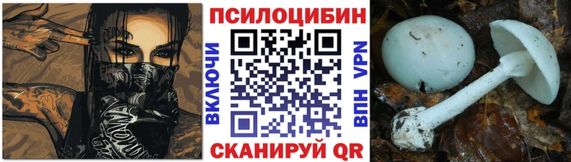 Галлюциногенные грибы прущие грибы Сольцы